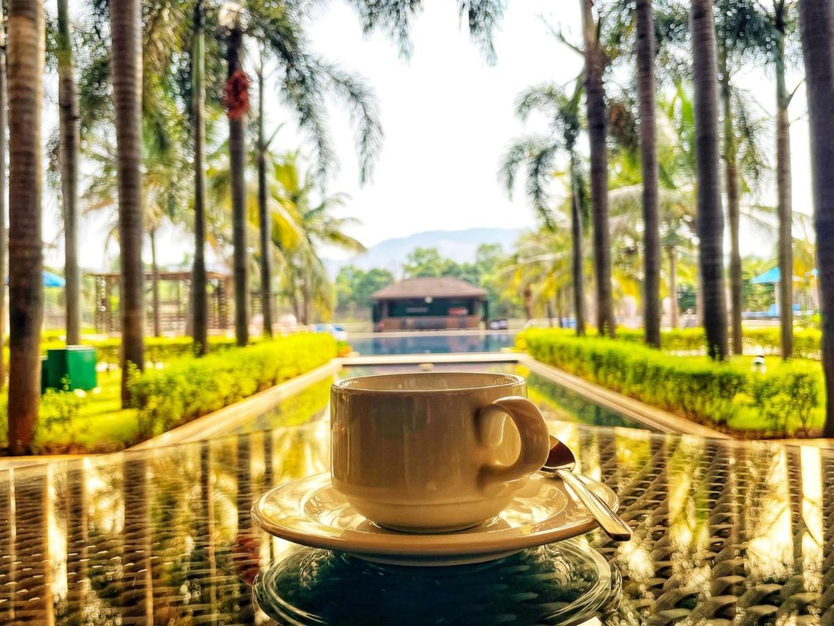 卡尔贾丽笙水疗及度假酒店 卡尔贾特 外观 照片 A cup of coffee
